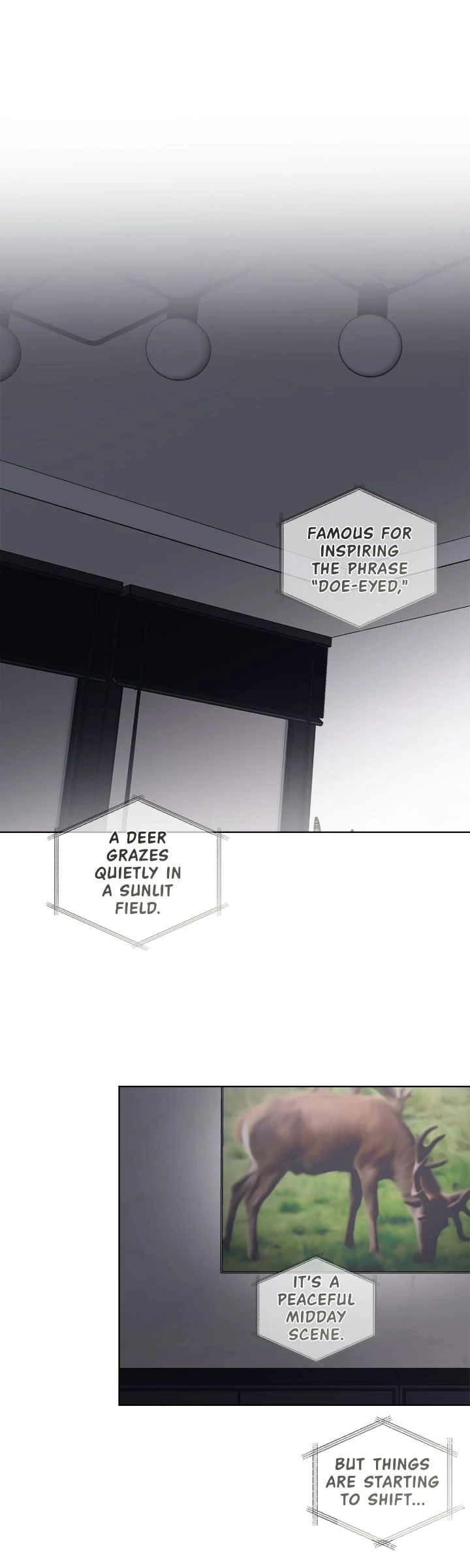 Monochrome Rumor「Official」 - Chapter 112 manhwa