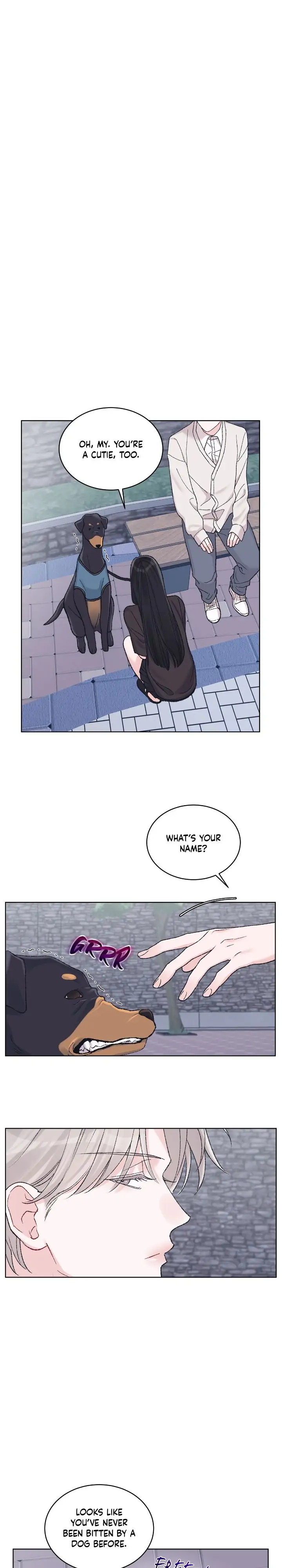 Monochrome Rumor「Official」 - Chapter 70 manhwa