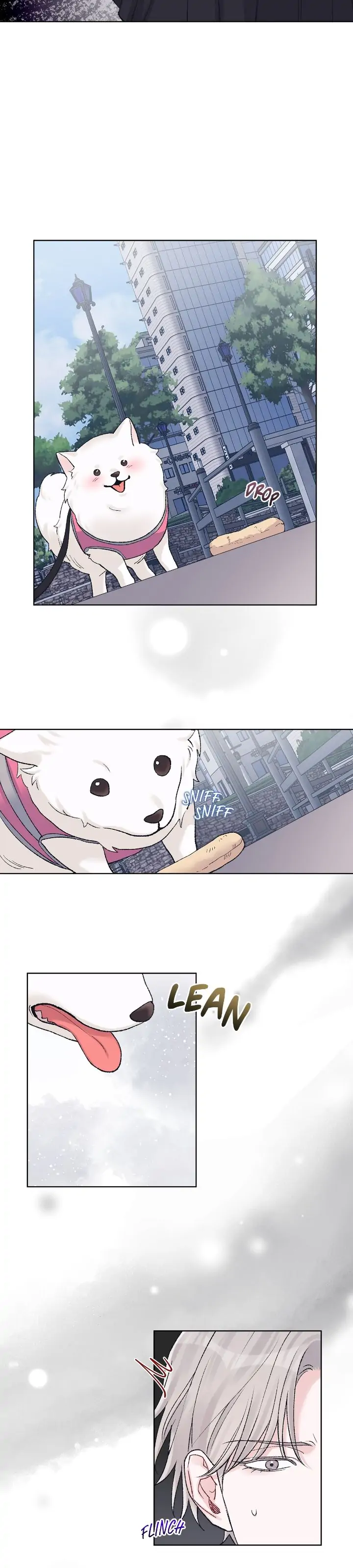 Monochrome Rumor「Official」 - Chapter 70 manhwa