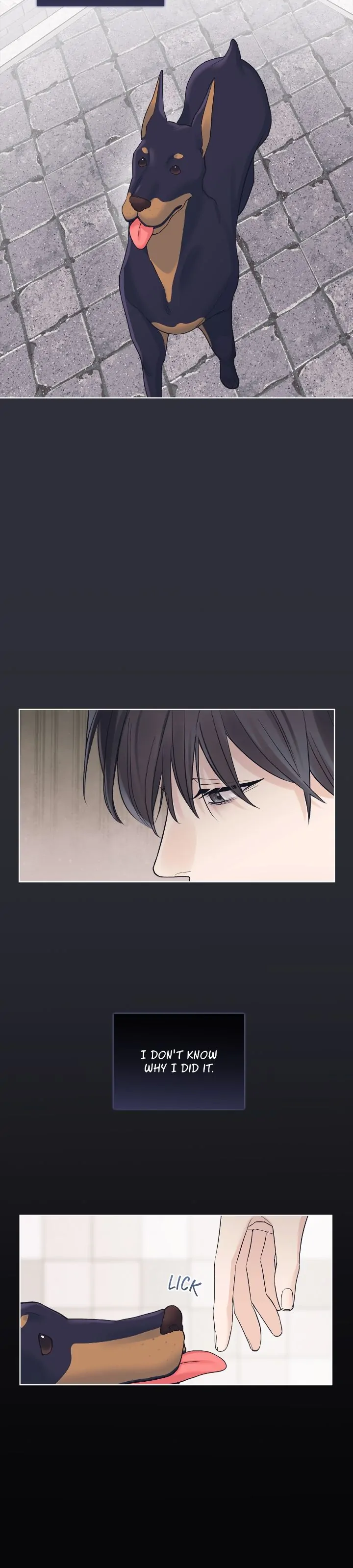 Monochrome Rumor「Official」 - Chapter 76 manhwa