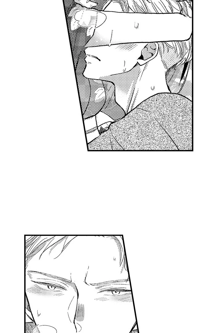 Kowarerukurai, Yasashiku Daite - Chapter 12 manhwa