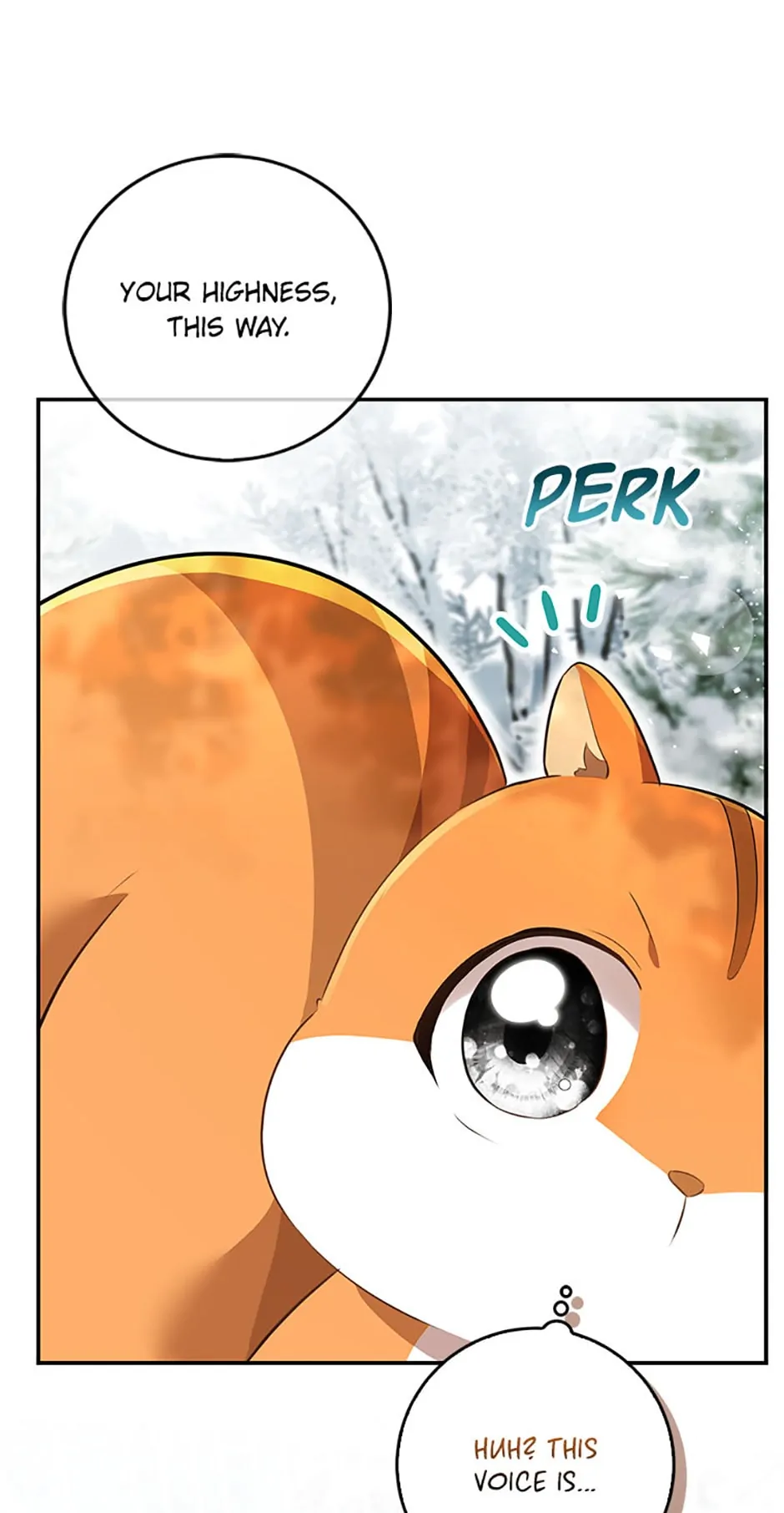 Talented Baby Squirrel - Chapter 48 manhwa
