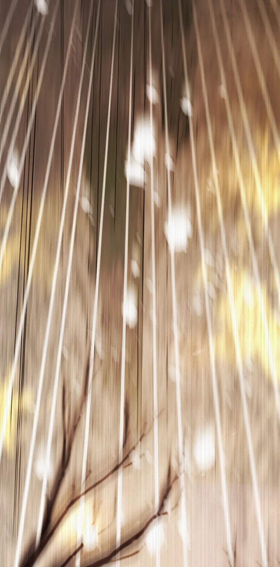 Talented Baby Squirrel - Chapter 61 manhwa