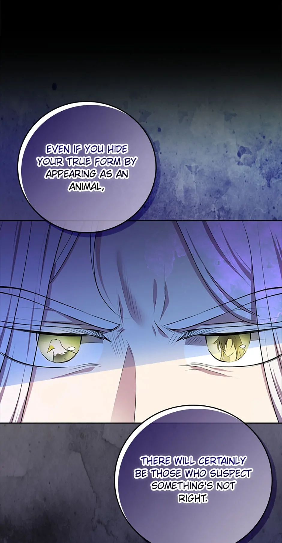 Talented Baby Squirrel - Chapter 77 manhwa