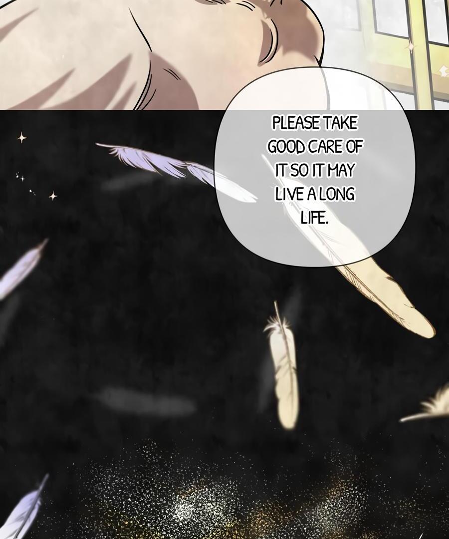 Stuck in My Sister’s Dating Sim [Official][Mature] - Chapter 66 manhwa