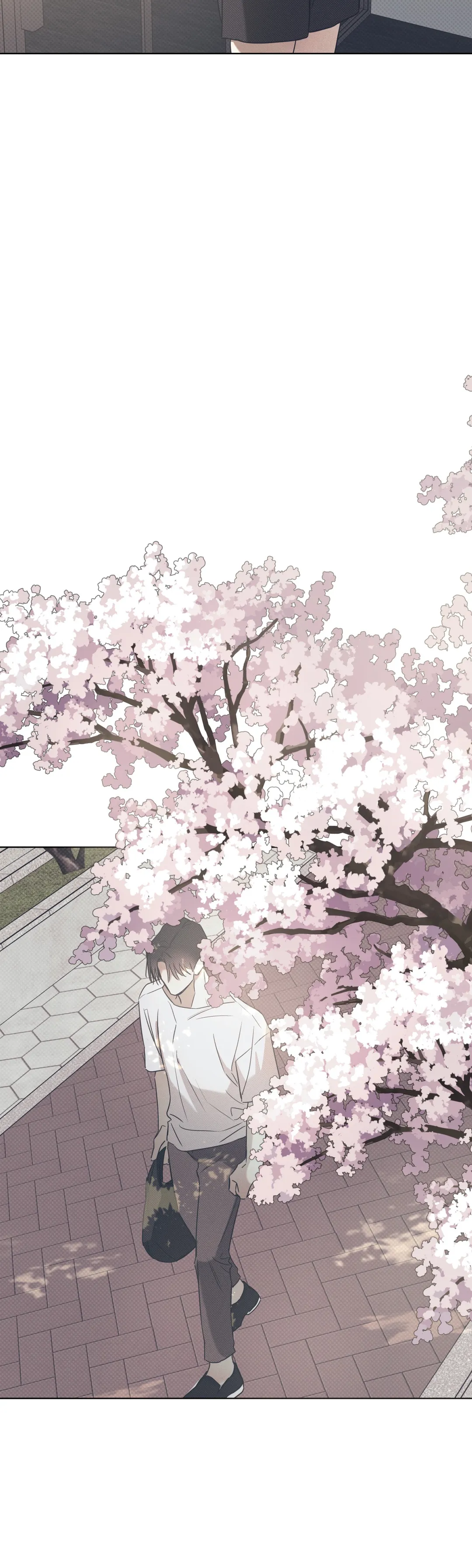 The Sea’s Nocturne (Mature) - Chapter 46 manhwa