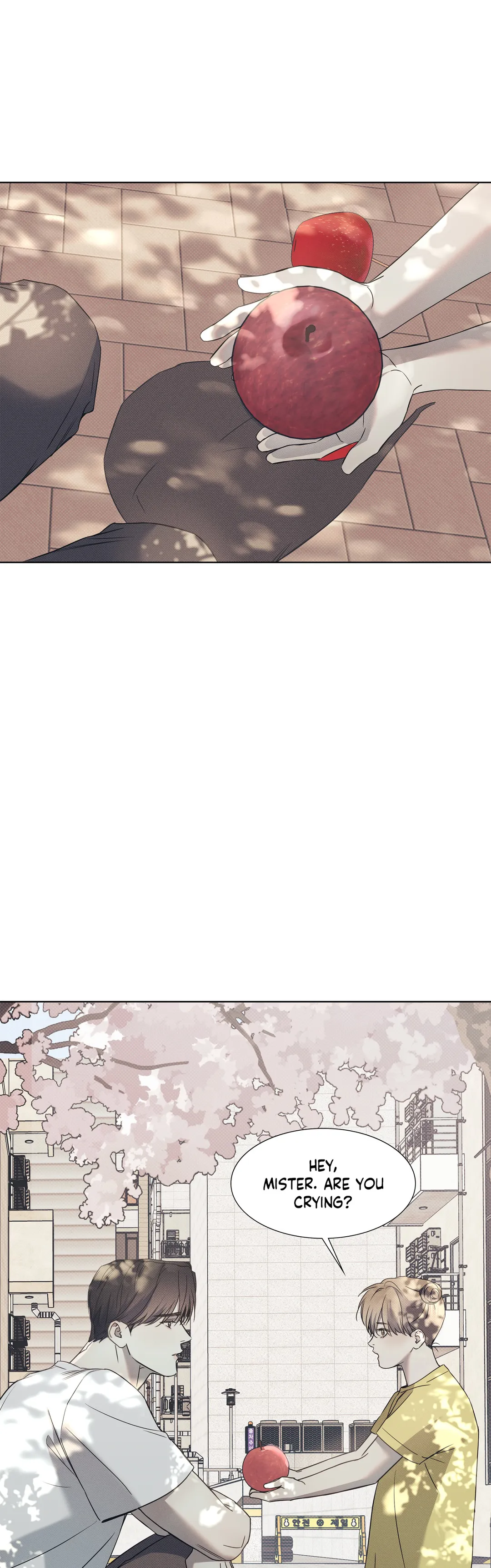 The Sea’s Nocturne (Mature) - Chapter 46 manhwa