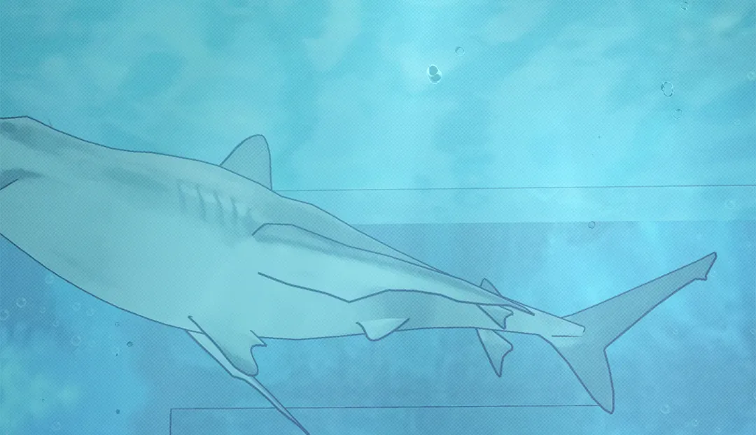 The Sea’s Nocturne (Mature) - Chapter 73 manhwa