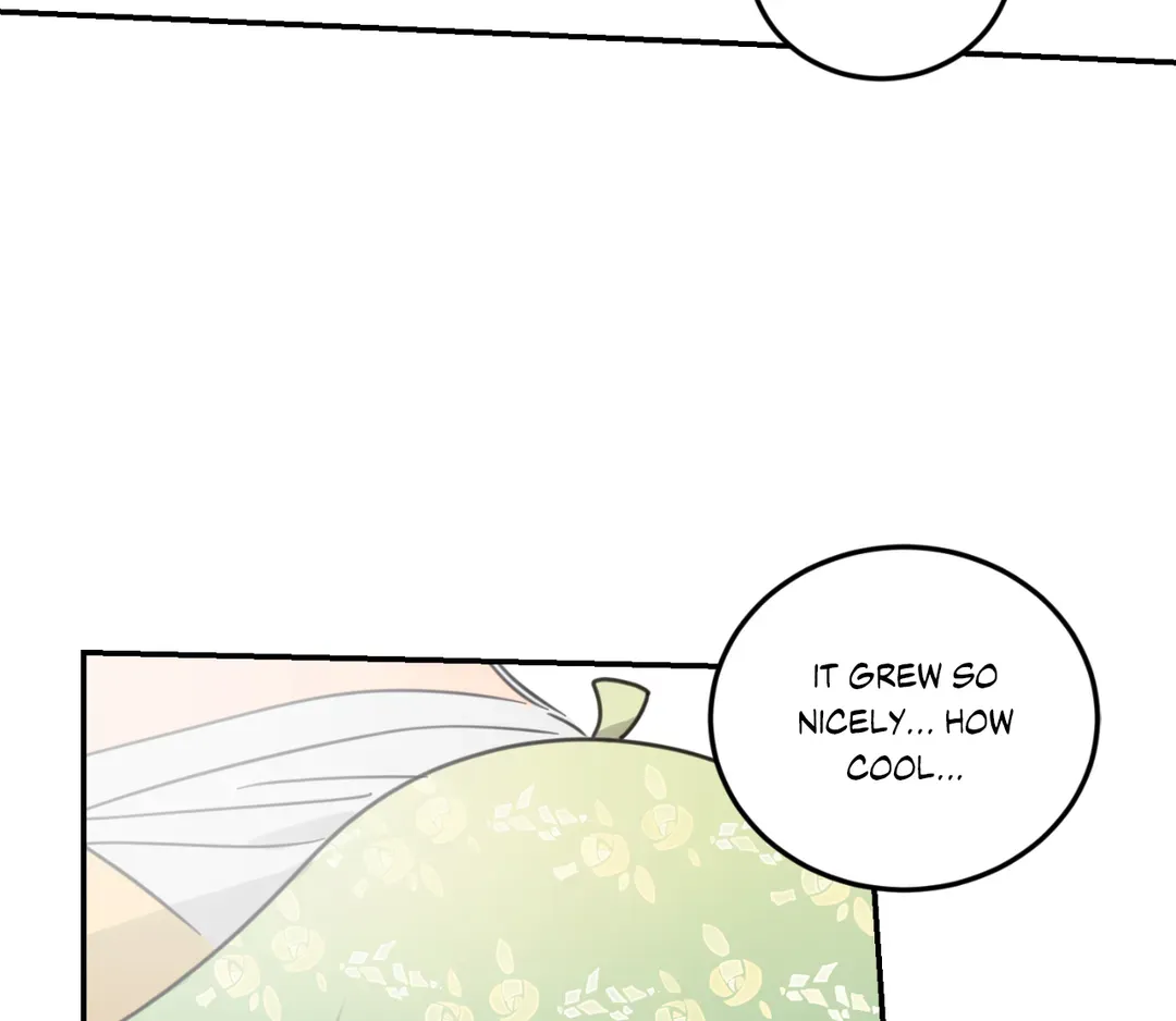 Our Sunny Days - Chapter 34 manhwa