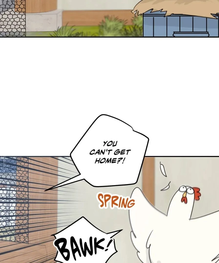 Our Sunny Days - Chapter 42 manhwa
