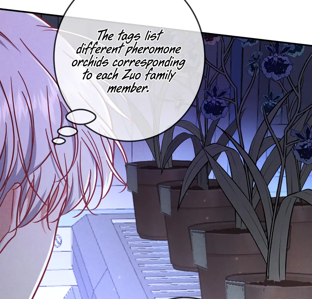 Kill My Love [Team Hazama] - Chapter 54 manhwa