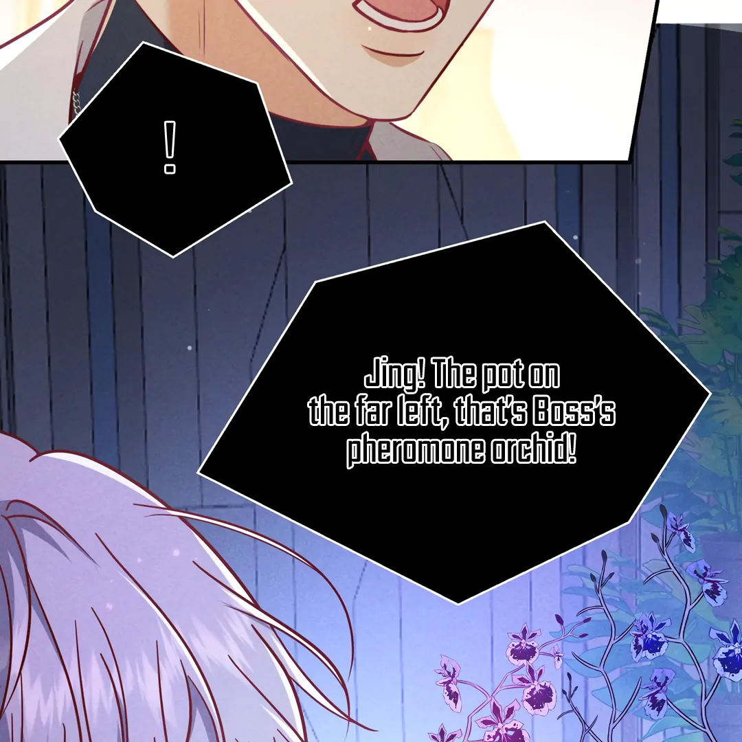 Kill My Love [Team Hazama] - Chapter 54 manhwa