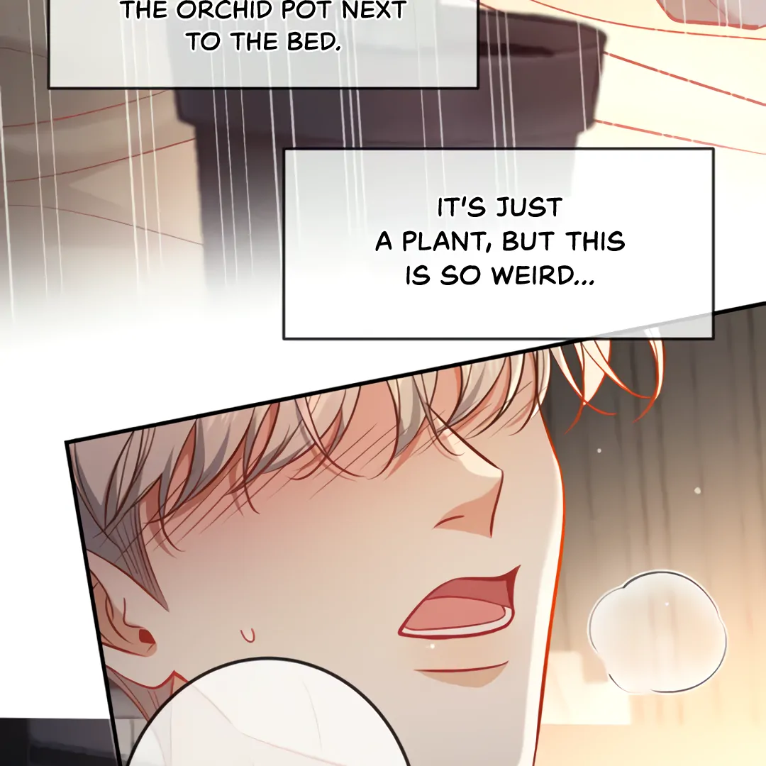 Kill My Love [Team Hazama] - Chapter 64 manhwa