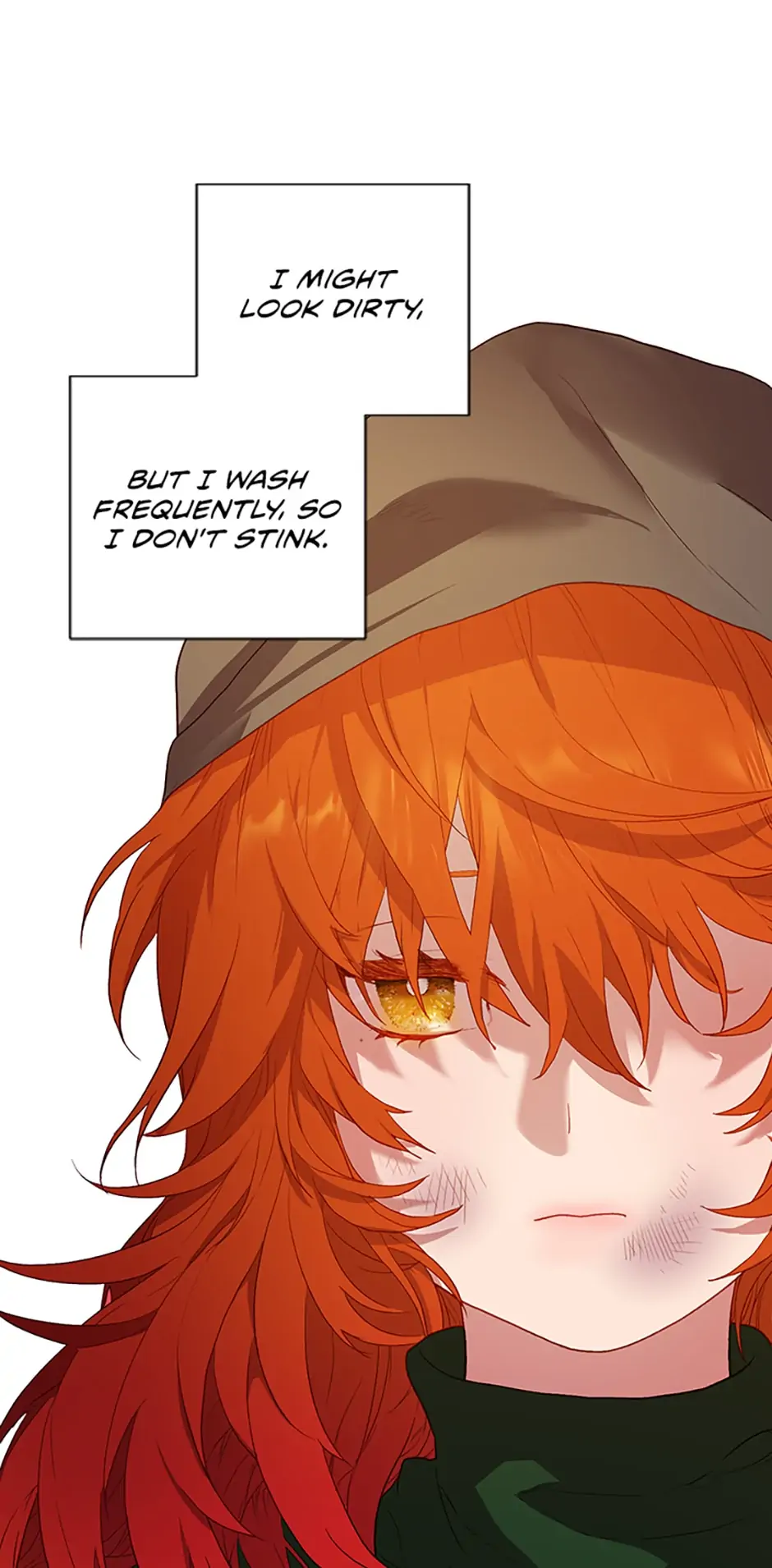 The Glamorous Life of the Fake Mistress - Chapter 1 [R15] manhwa