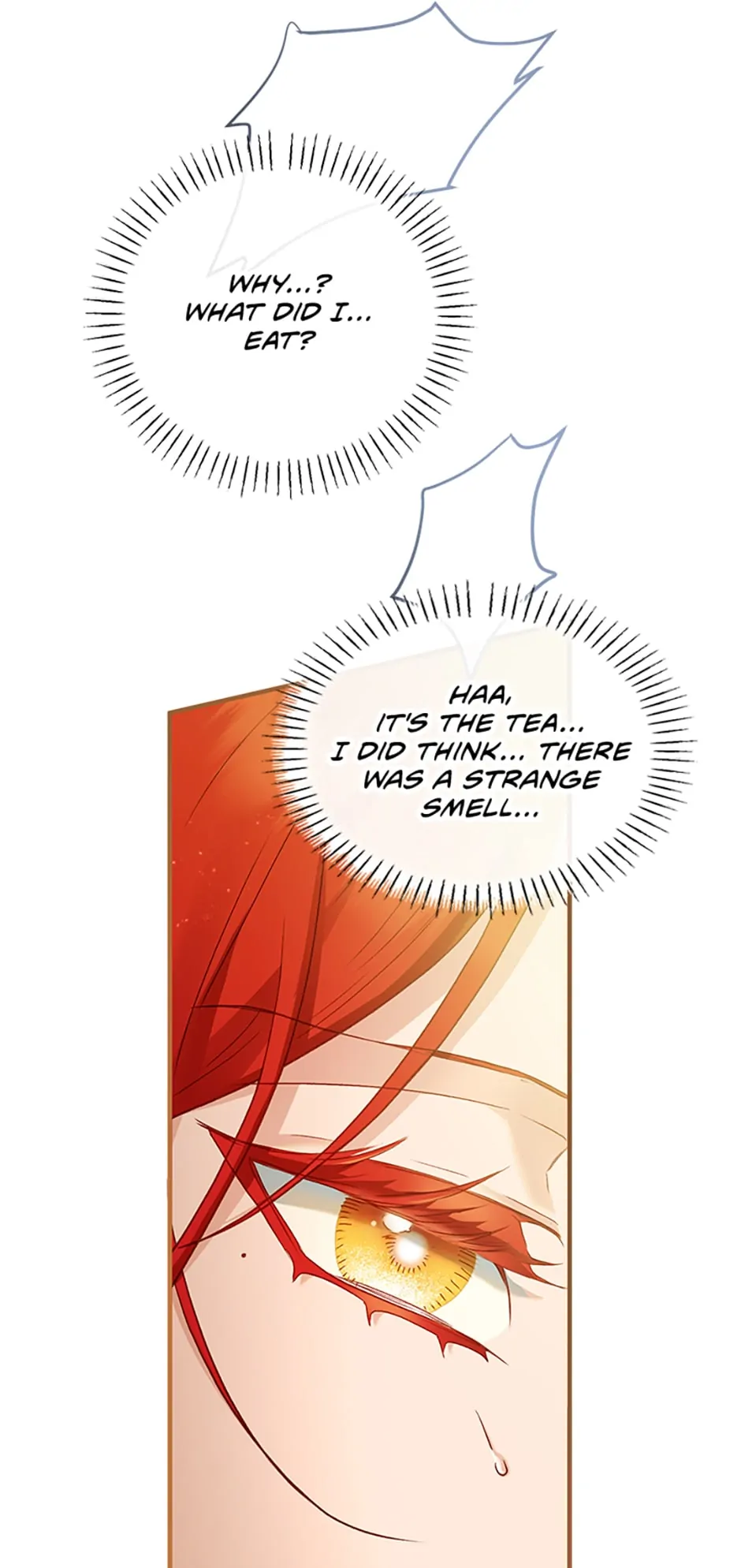 The Glamorous Life of the Fake Mistress - Chapter 69 manhwa