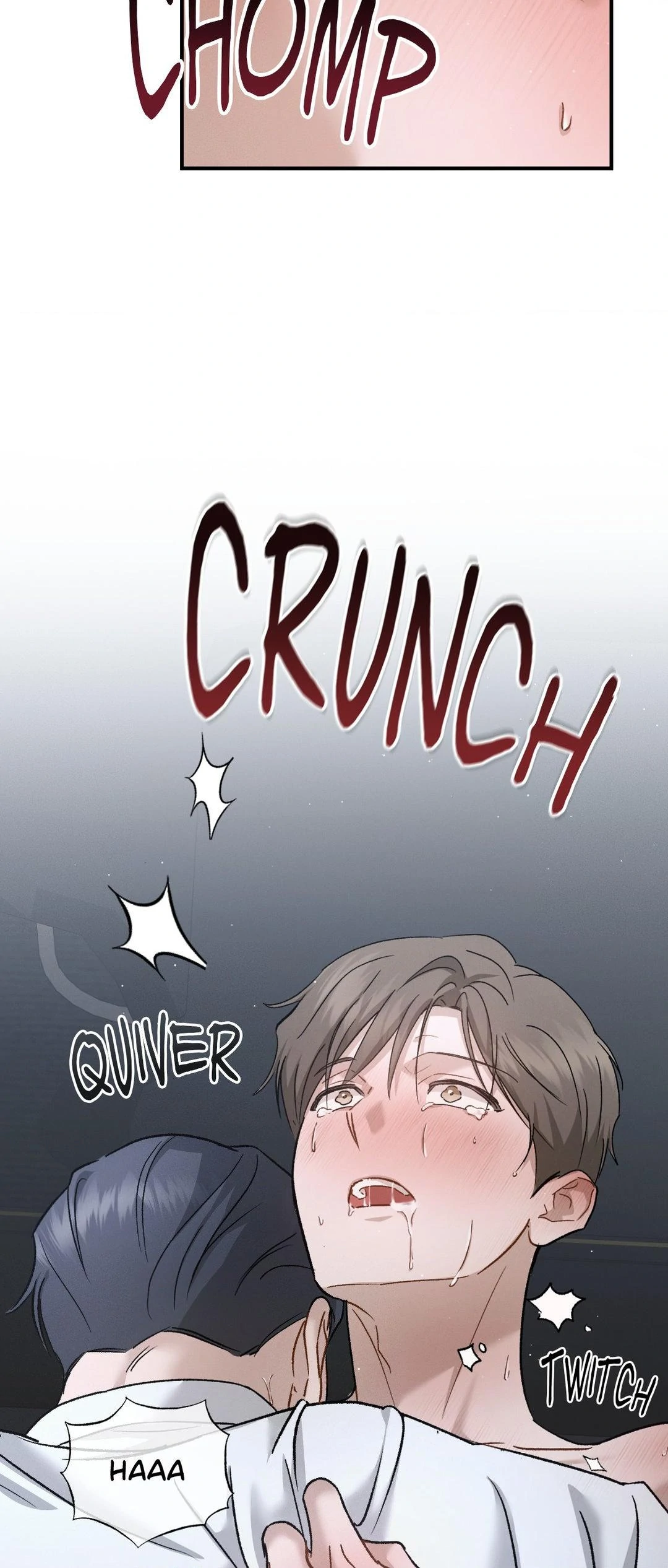 Beyond the Memories 〘Official〙 - Season 2 Finale manhwa