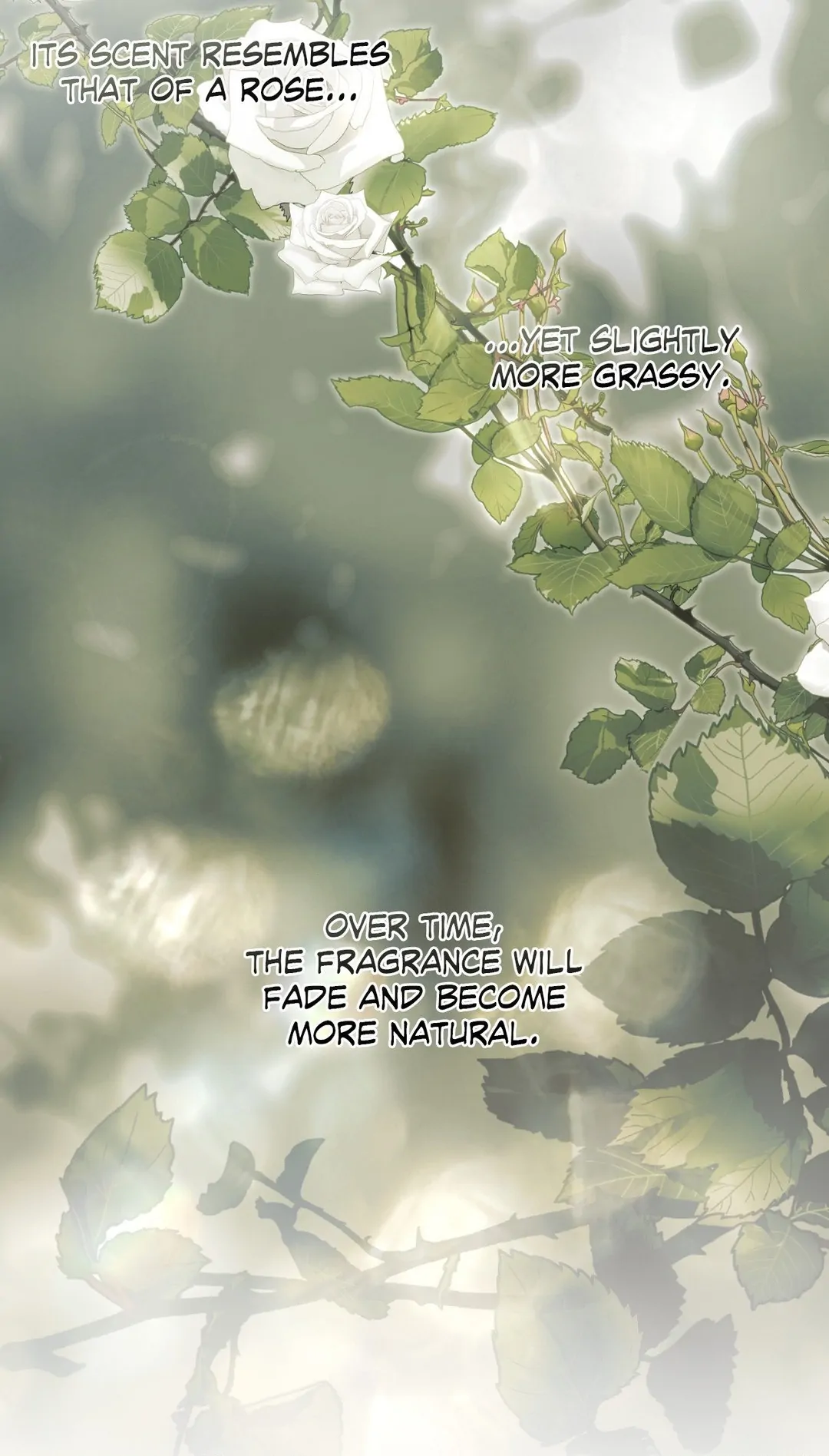Beyond the Memories 〘Official〙 - Season 2 manhwa