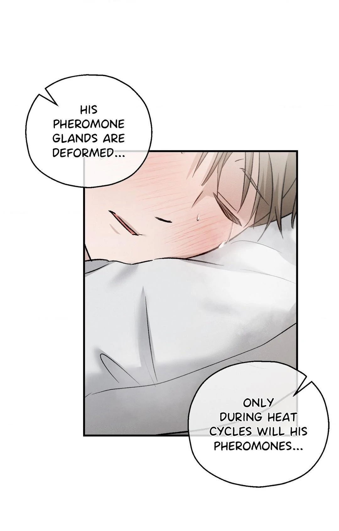 Beyond the Memories 〘Official〙 - Season 3 manhwa