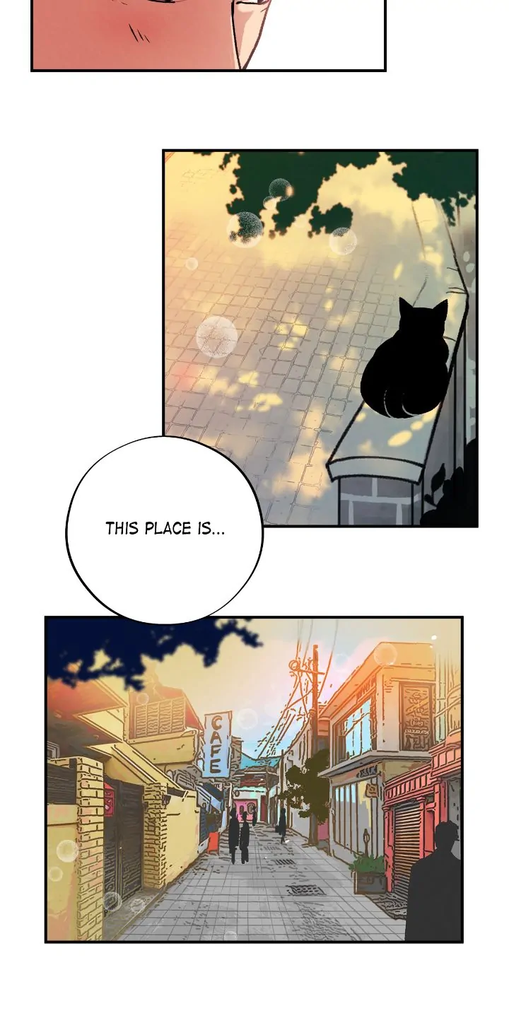 Honey Bear 〘Mature Official〙 - Chapter 2 manhwa