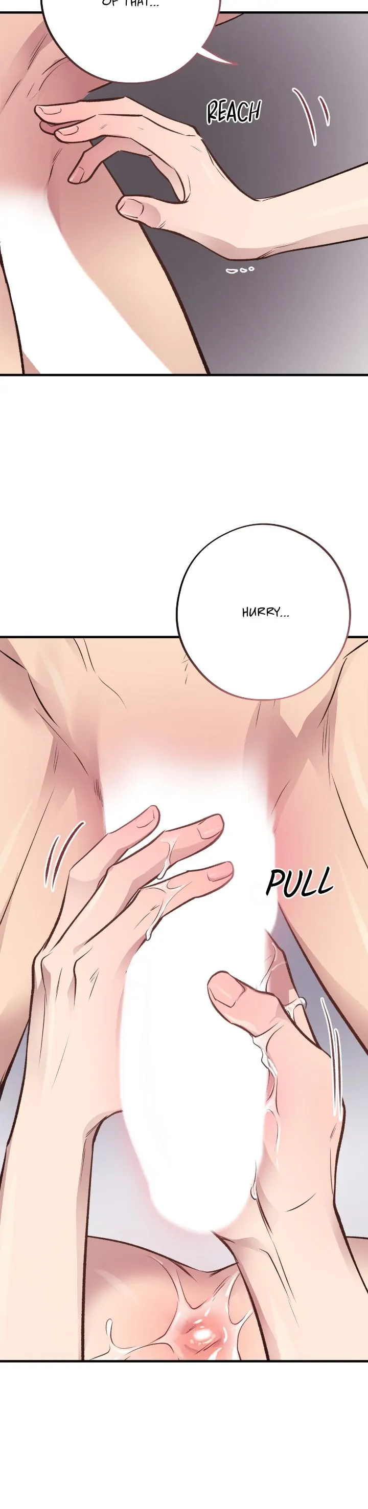 Honey Bear 〘Mature Official〙 - Chapter 27 manhwa