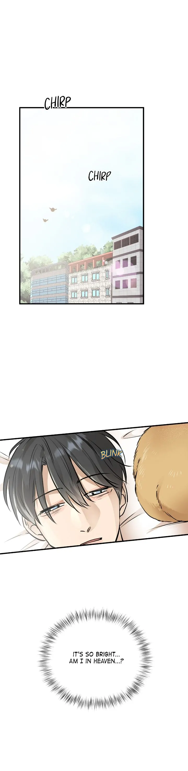 Honey Bear 〘Mature Official〙 - Chapter 29 manhwa