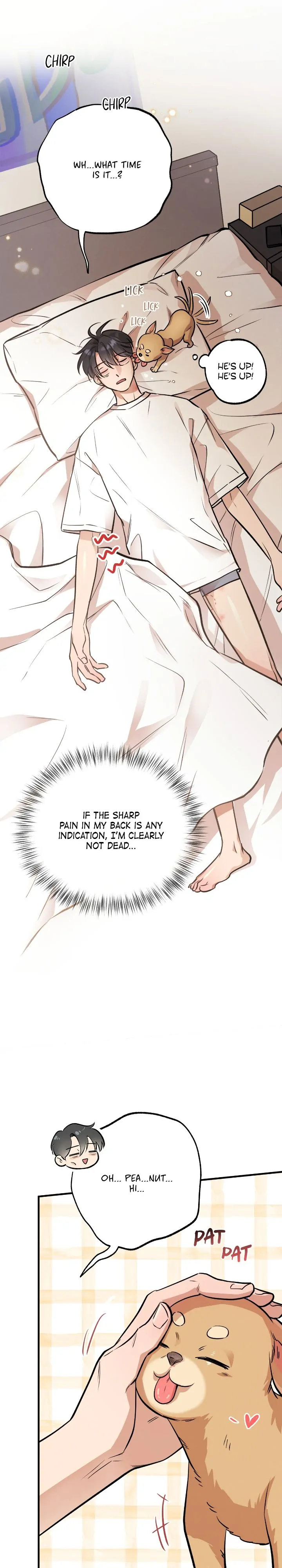 Honey Bear 〘Mature Official〙 - Chapter 29 manhwa