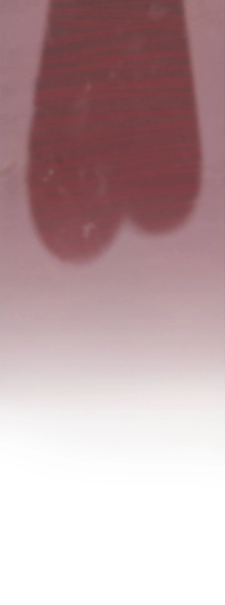 Honey Bear 〘Mature Official〙 - Chapter 56 manhwa