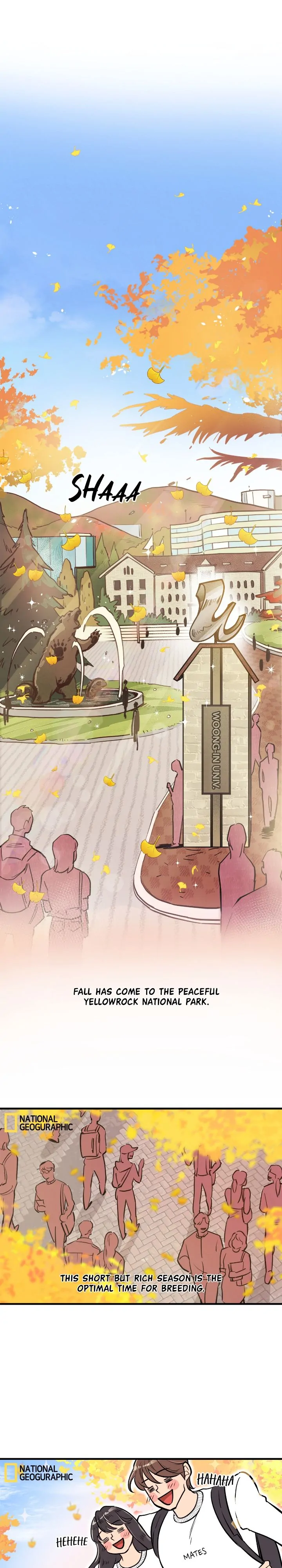 Honey Bear 〘Mature Official〙 - Season 2 manhwa