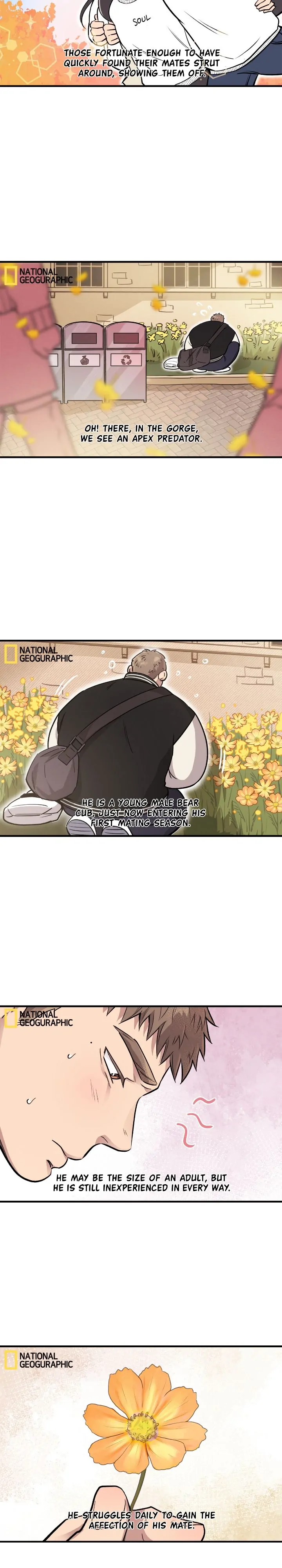 Honey Bear 〘Mature Official〙 - Season 2 manhwa