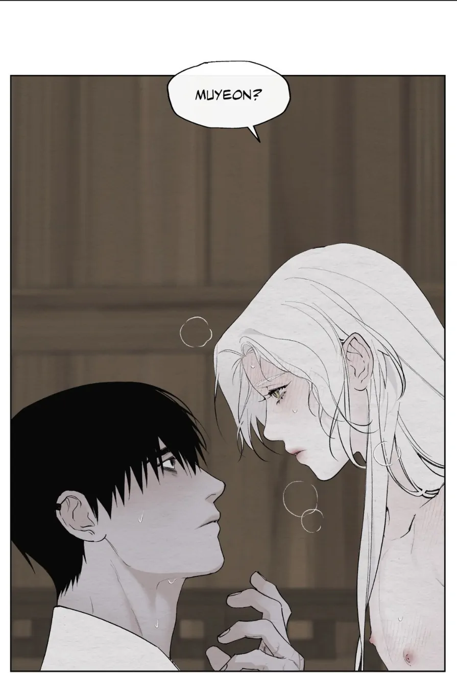 A Twisted Fate [Official] - Chapter 13 manhwa