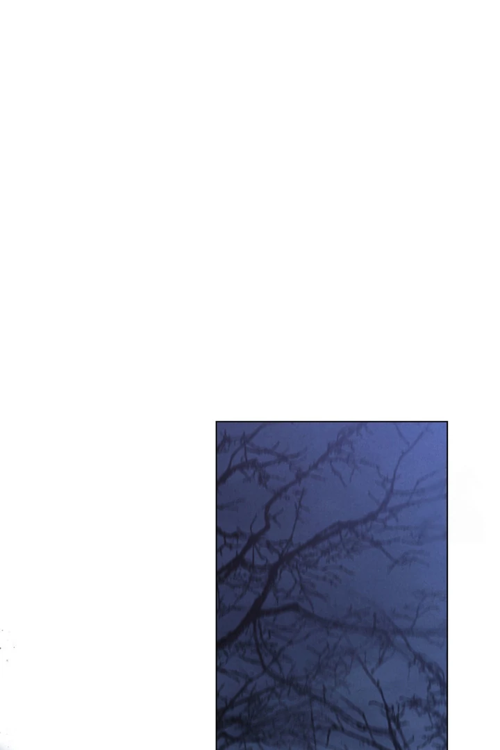 Tempest Night [JoyJoyHere] - Chapter 65 manhwa