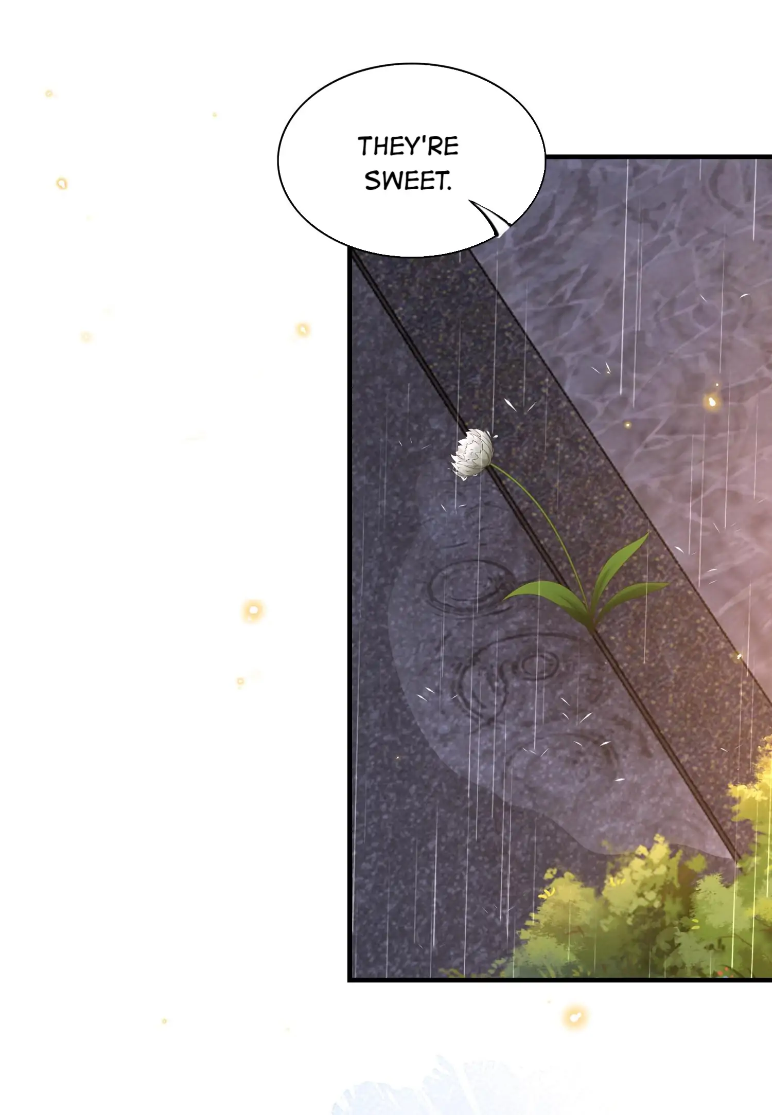 It’s Never Too Late for Sweetness (Official) - 30 - They Look Firm, but They're Actually Pretty Soft! manhwa