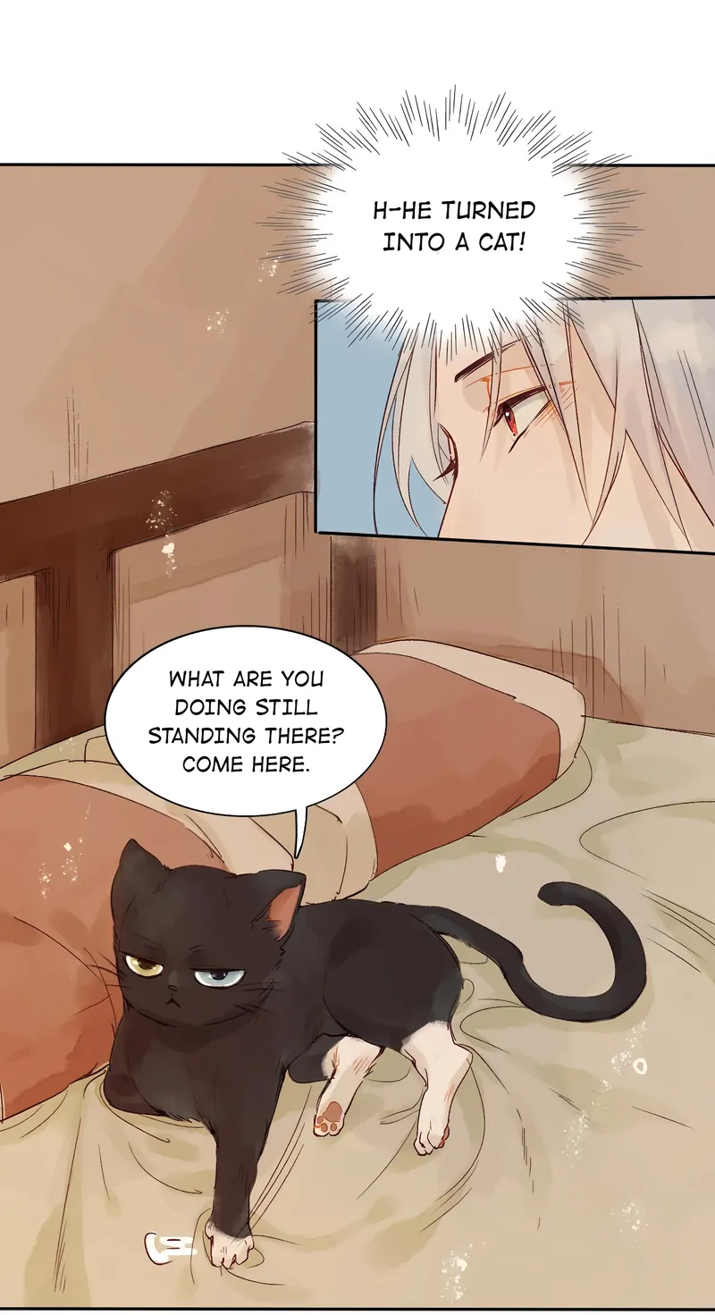 Hands Off, Evil Dragon! [Official] - 36 - Are You Hiding From Me? manhwa