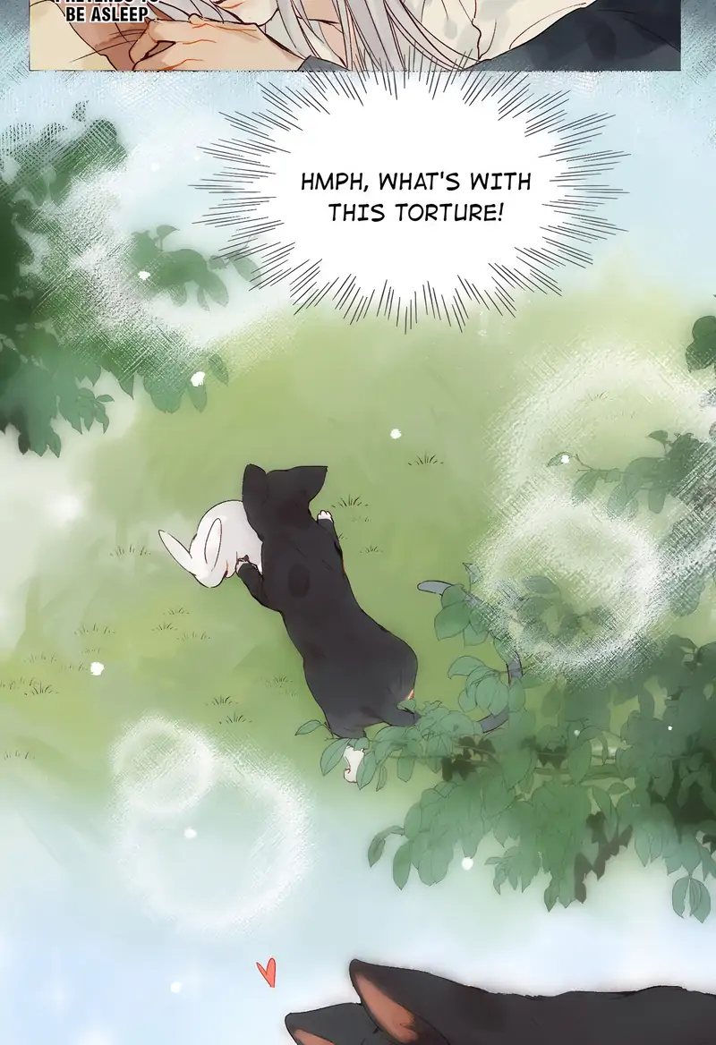 Hands Off, Evil Dragon! [Official] - 39 - Let’s Go Together manhwa