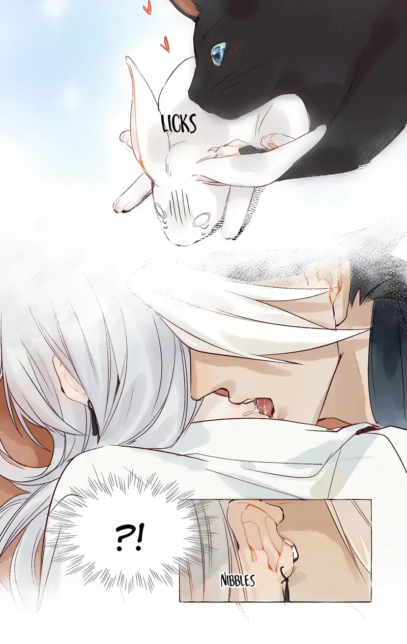 Hands Off, Evil Dragon! [Official] - 39 - Let’s Go Together manhwa
