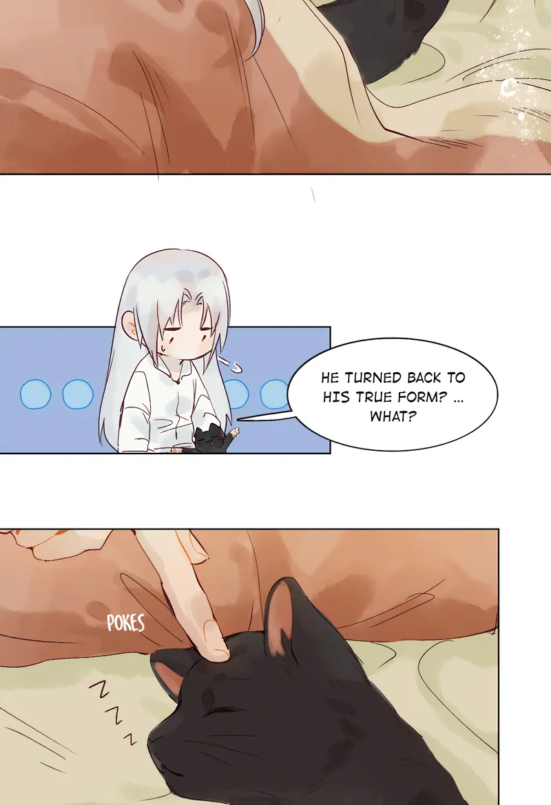Hands Off, Evil Dragon! [Official] - 39 - Let’s Go Together manhwa