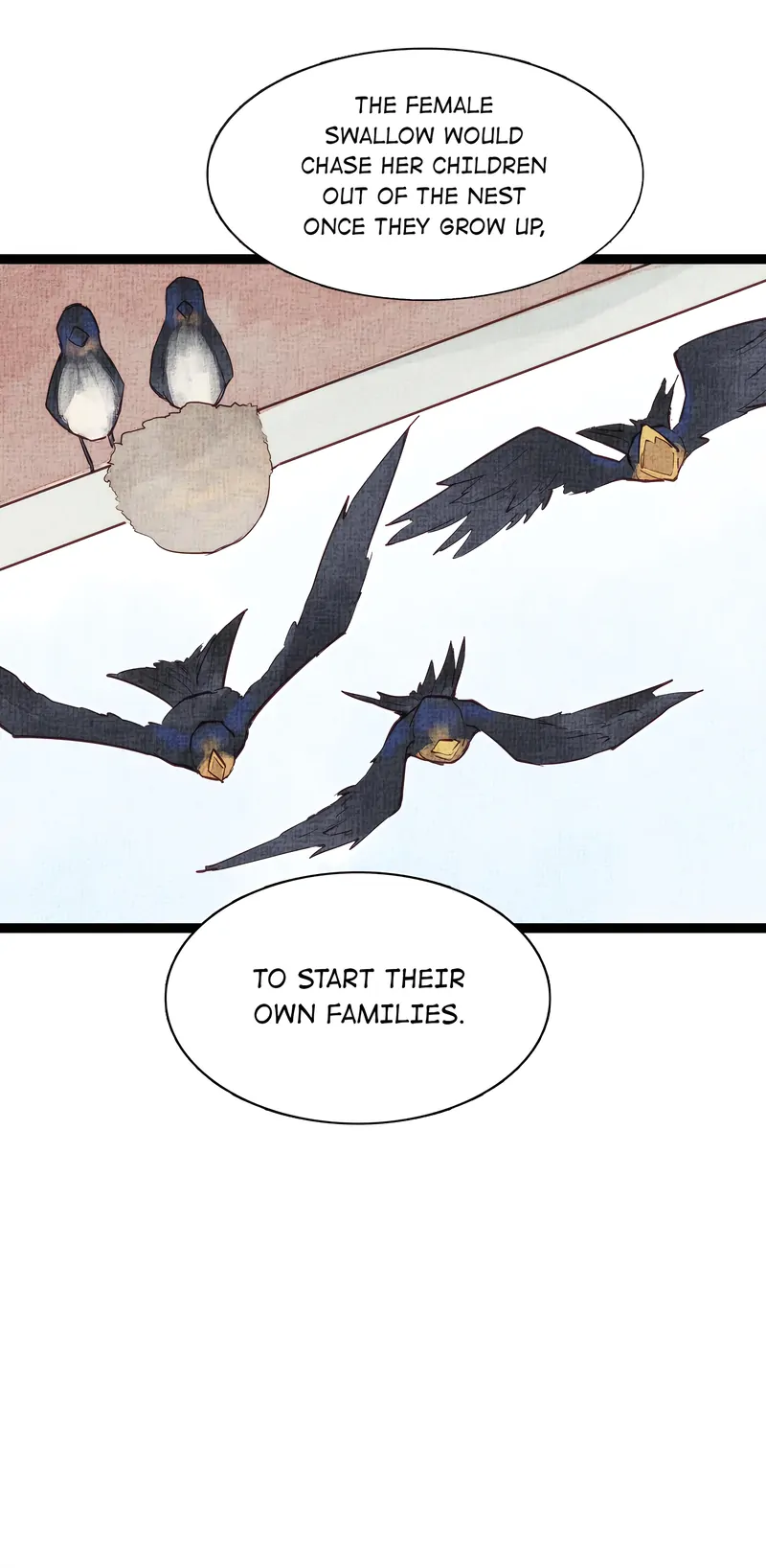 Hands Off, Evil Dragon! [Official] - 53 - I’ll Bring You There manhwa