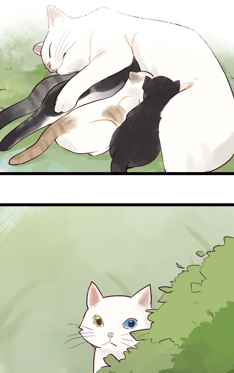 Hands Off, Evil Dragon! [Official] - 53 - I’ll Bring You There manhwa