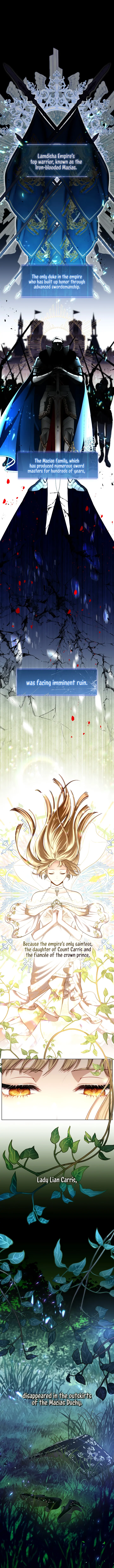 S-Class Hunter Doesn’t Want to Be a Villainous Princess [Speedcat Version] - Chapter 2 manhwa