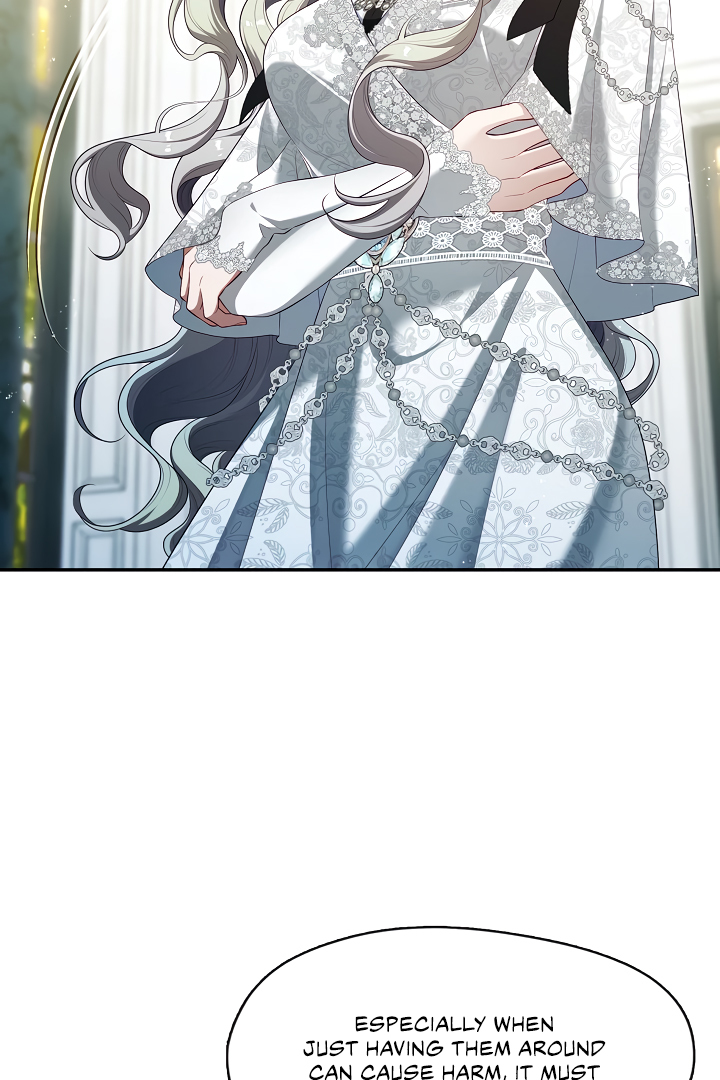 S-Class Hunter Doesn’t Want to Be a Villainous Princess [Speedcat Version] - Chapter 41 manhwa