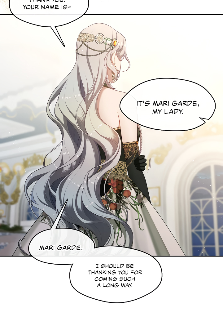 S-Class Hunter Doesn’t Want to Be a Villainous Princess [Speedcat Version] - Chapter 45 manhwa