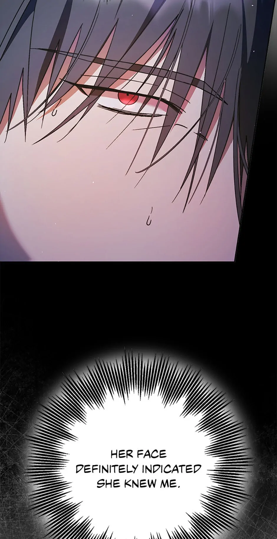 An Extra Stole the Male Leads - Chapter 13 manhwa