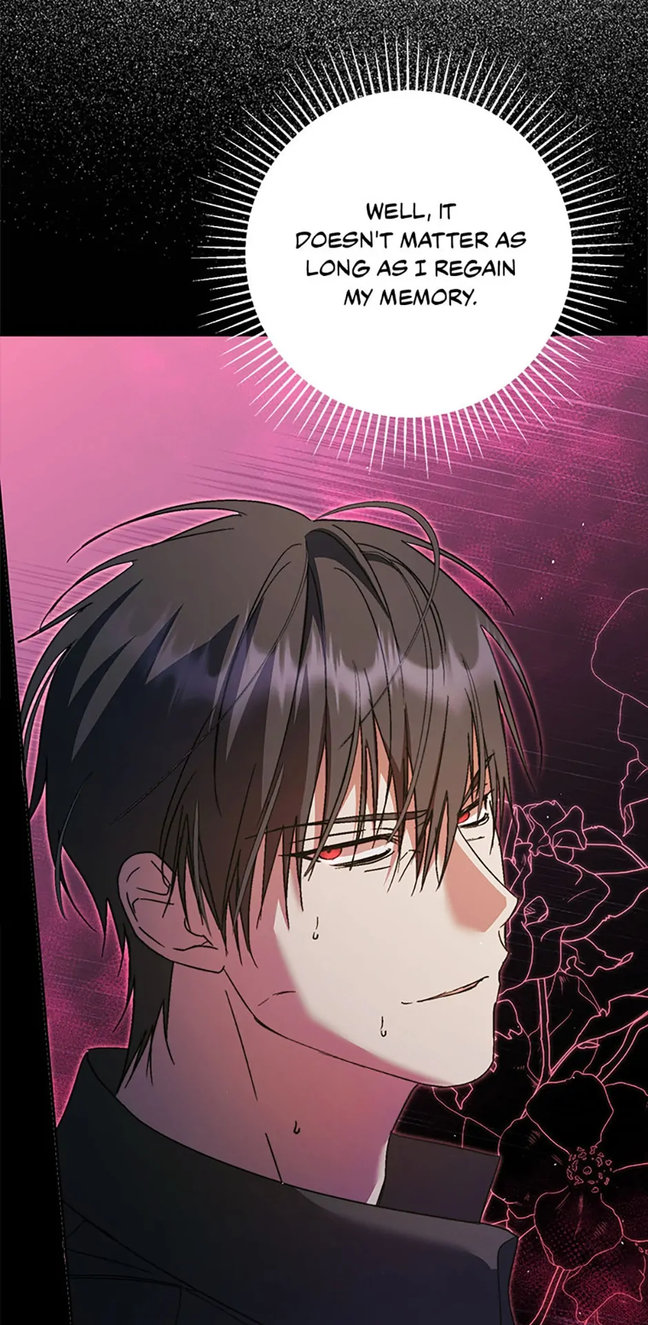 An Extra Stole the Male Leads - Chapter 13 manhwa