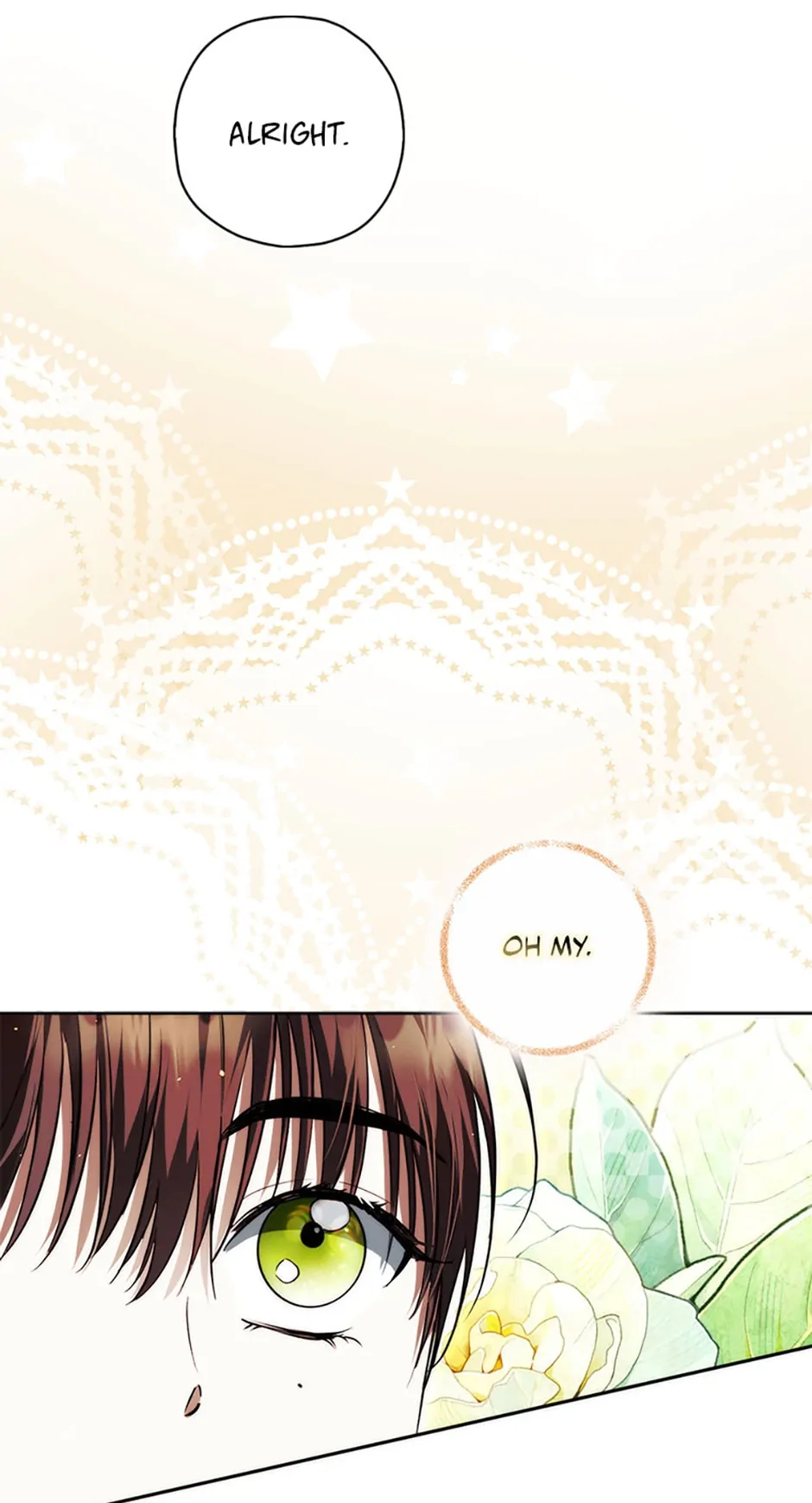 An Extra Stole the Male Leads - Chapter 25 manhwa