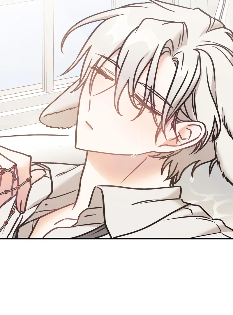 Mr. Tiger, Thank you for the meal - Chapter 15 manhwa