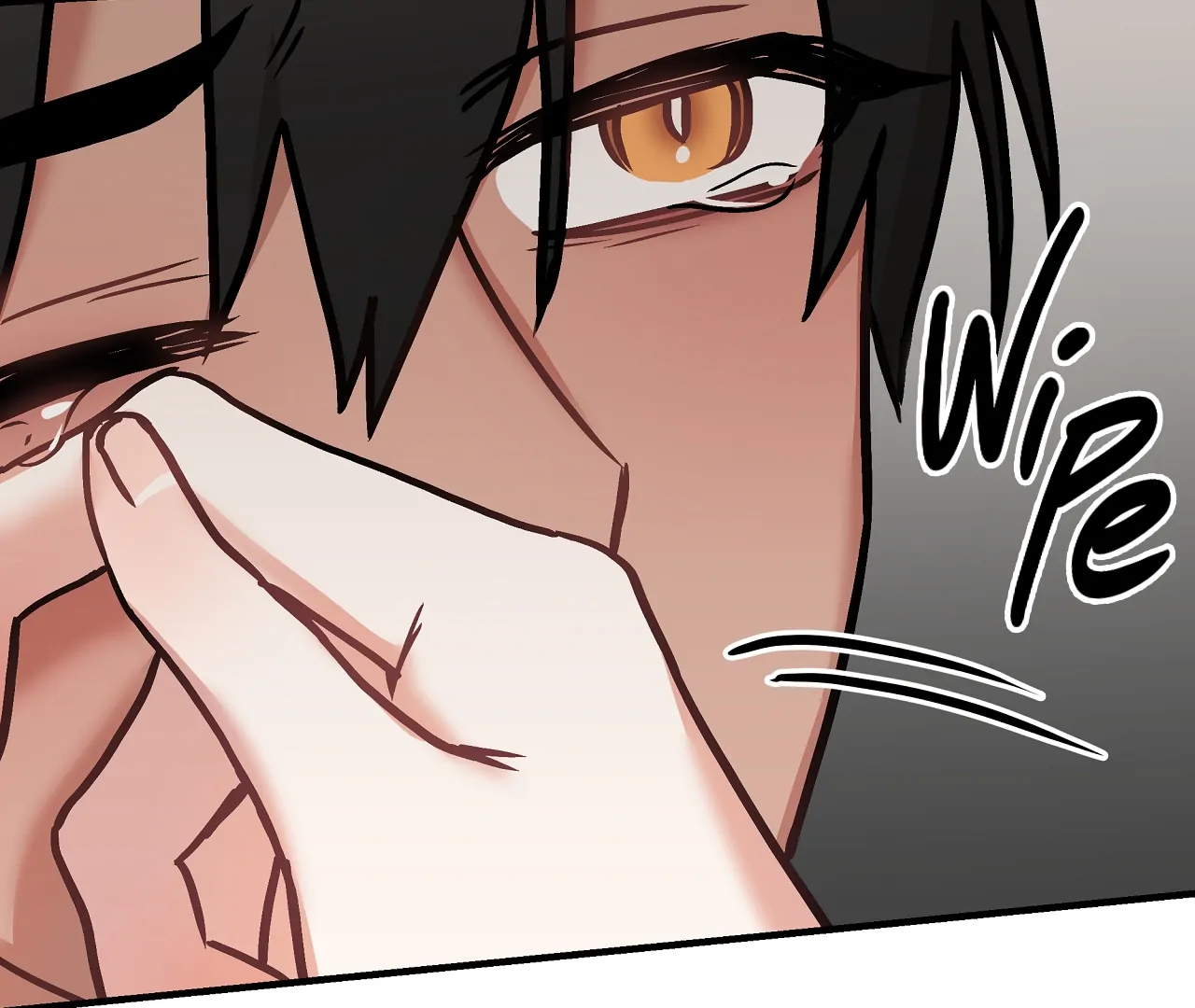 Mr. Tiger, Thank you for the meal - Chapter 16 manhwa