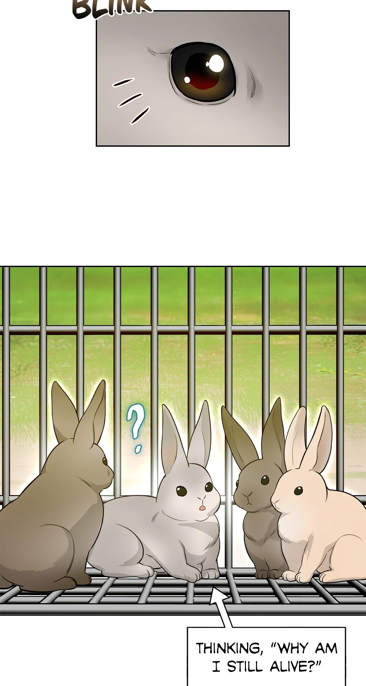 The Secret Bedroom of the Abandoned Princess [Official] - Chapter 129 manhwa