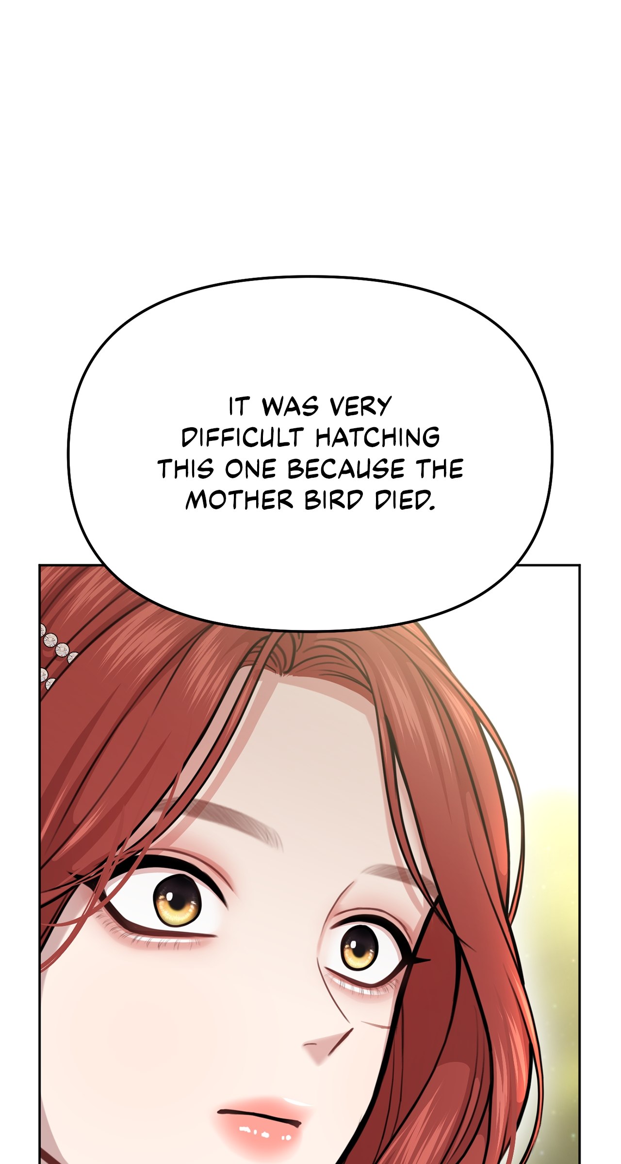The Secret Bedroom of the Abandoned Princess [Official] - Chapter 24 manhwa