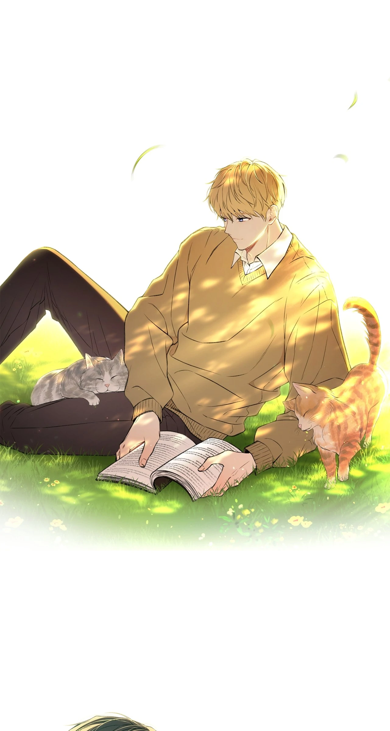The Secret Bedroom of the Abandoned Princess [Official] - Creator's Note manhwa