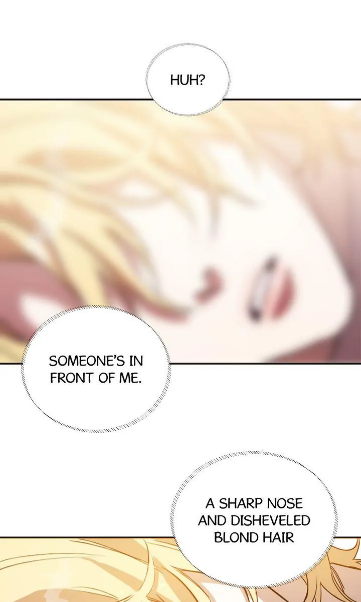 Choose Your Heroes Carefully [Official] - Chapter 2 manhwa